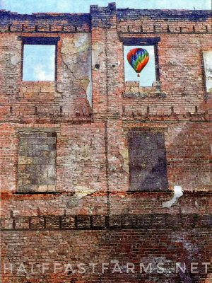 Up, Up and Decay - by Myla Pearce / composite photograph